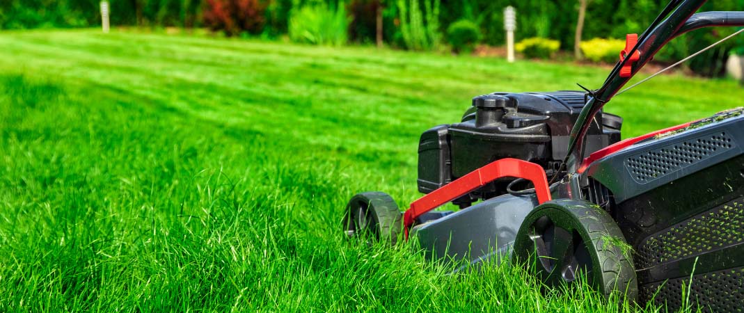 Mowing Service in Waukee