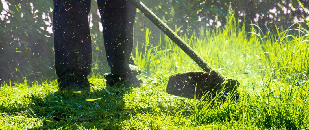 Lawn Clean Up Services in Johnston, IA