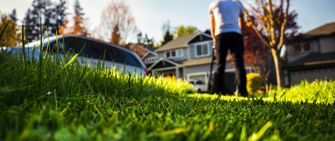 Lawn Care Services in Altoona, IA