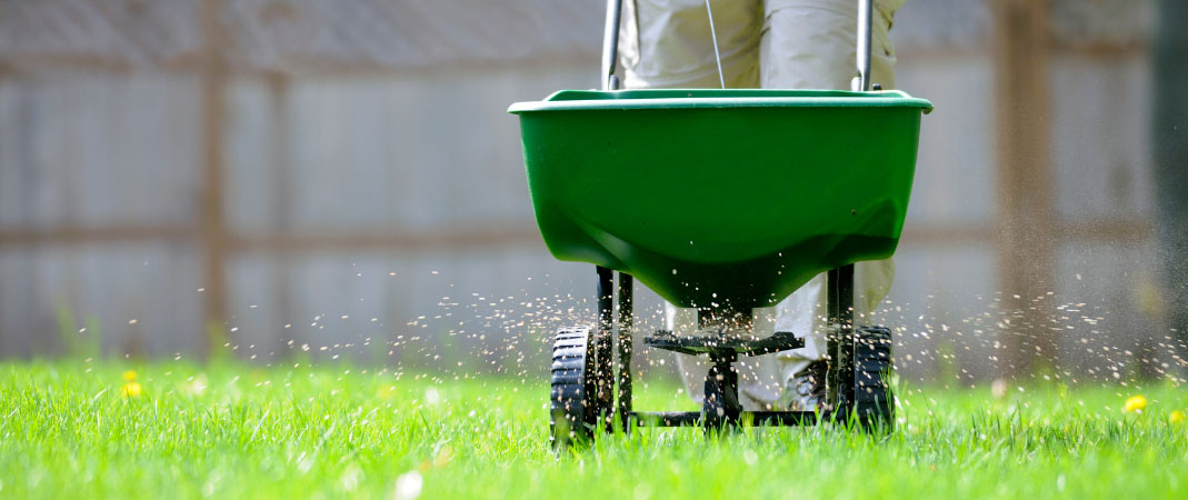 Fertilization Service in Des Moines, IA Fertilization Service in Des Moines, IA