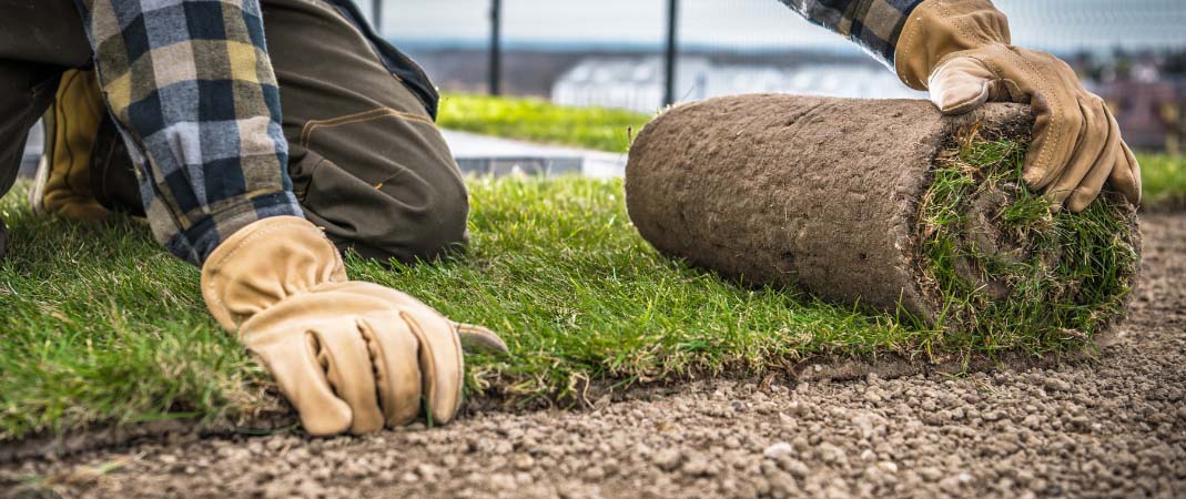 Mowing and Landscaping Service in Altoona, IA Mowing and Landscaping Service in Altoona, IA