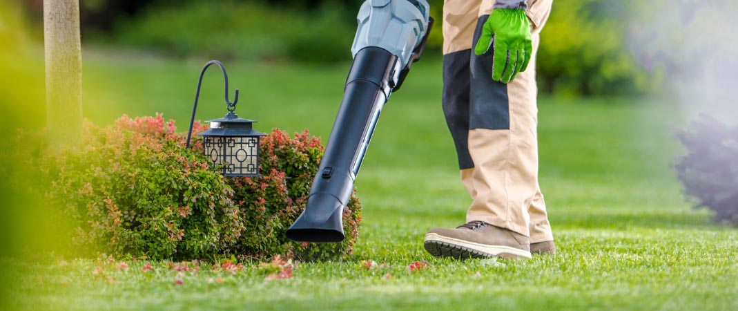 Lawn Clean Up Services in Carlisle, IA