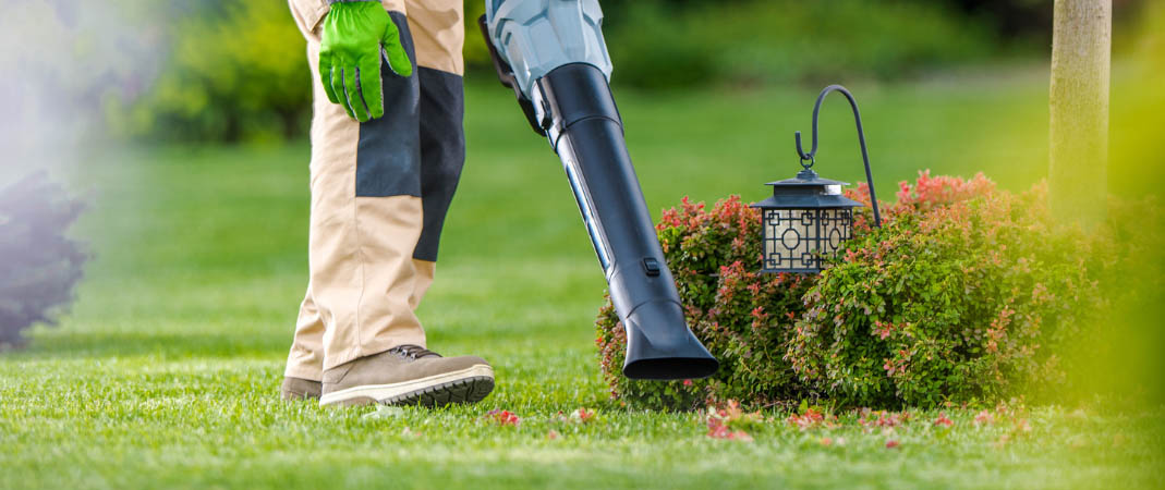 Lawn Clean Up Services in Norwalk, IA