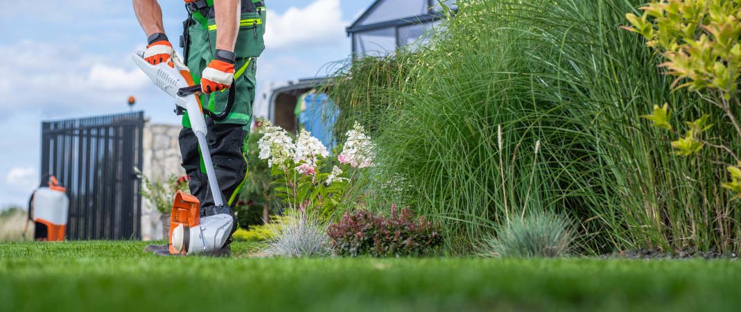 Lawn Clean Up Services in Indianola, IA