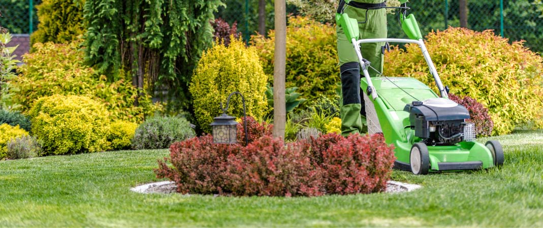 Landscaping Service in Norwalk, IA