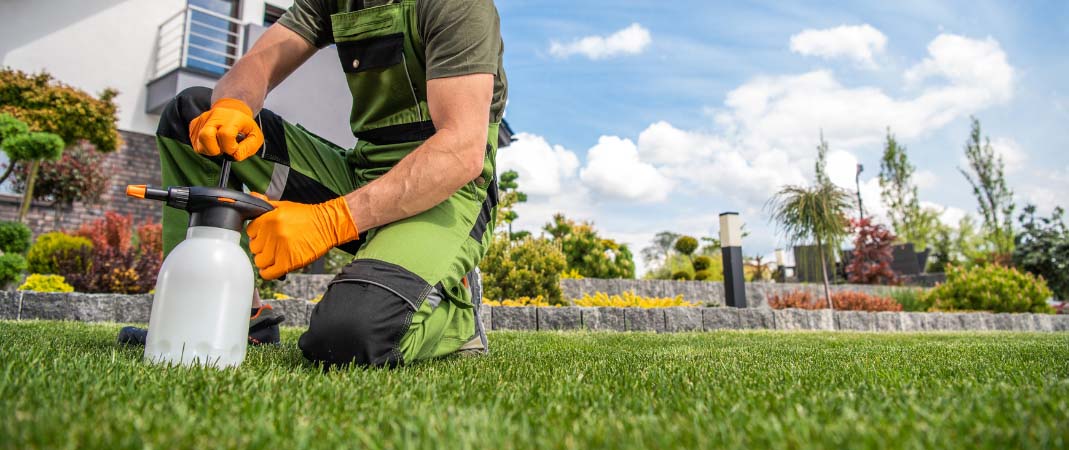 Lawn Care Services in Carlisle, IA