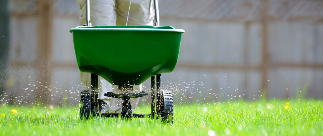 Fertilization Service in Grimes, IA