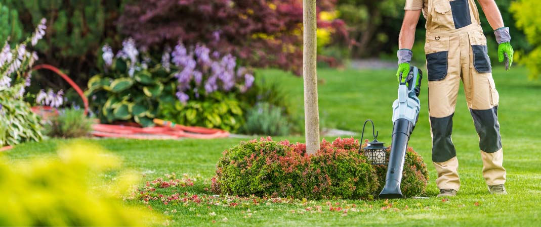Lawn Clean Up Services in Indianola, IA