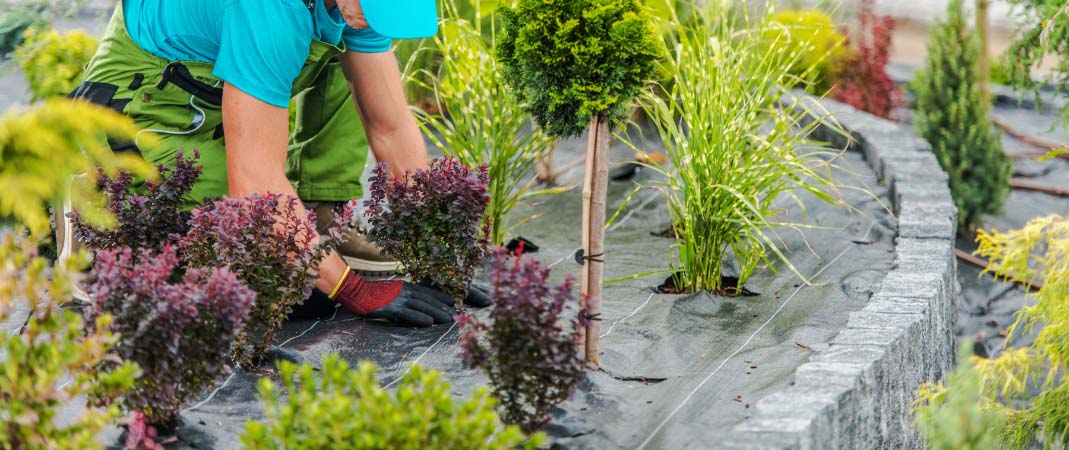 Landscaping Service in Carlisle, IA