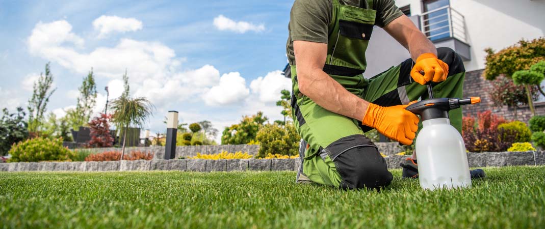 Lawn Care Services in Indianola, IA