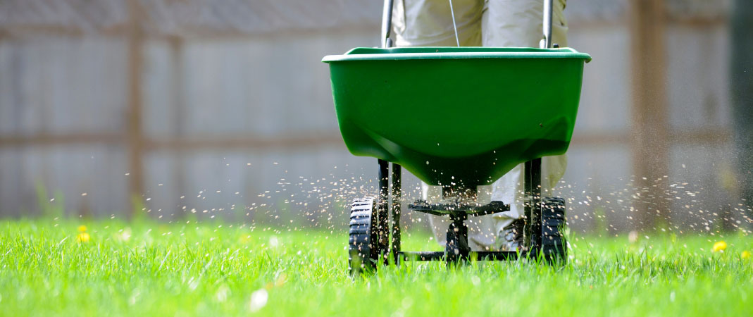 Fertilization Service in Indianola, IA