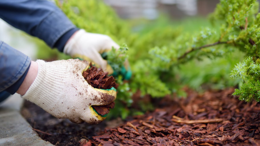 Mulch Installation - Mulch Installation Service