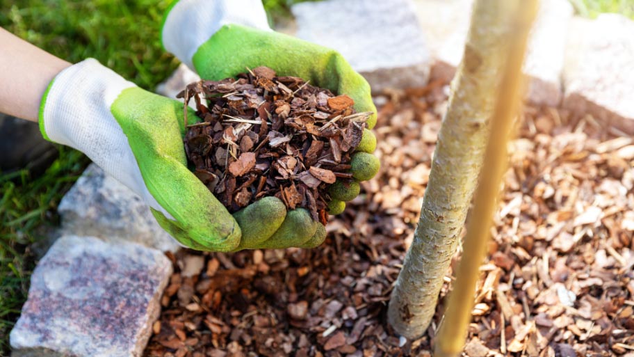 Mulch Installation - Mulch Installation Service
