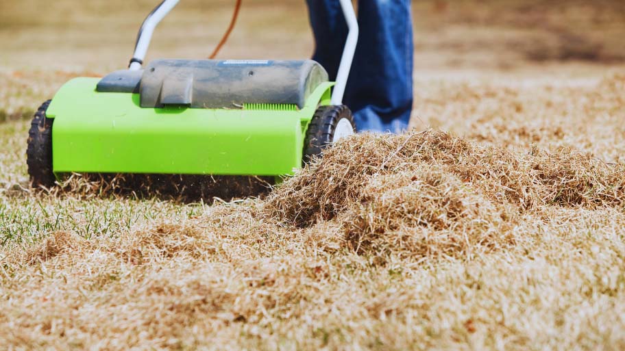 Lawn Dethatching