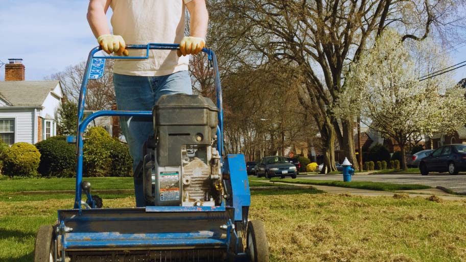 Lawn Dethatching Service