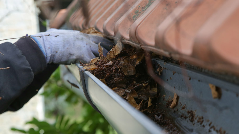 Spring Gutter Clean Up