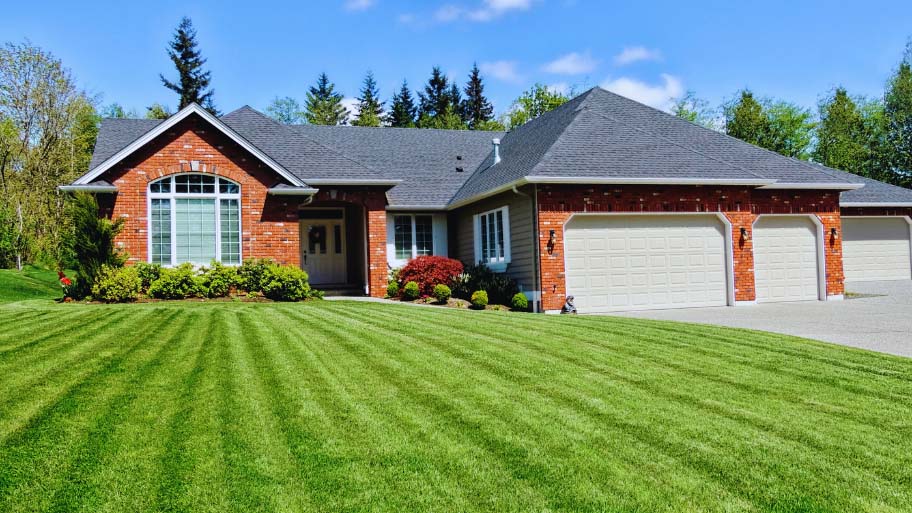 Clean Healthy lawn after dethatching